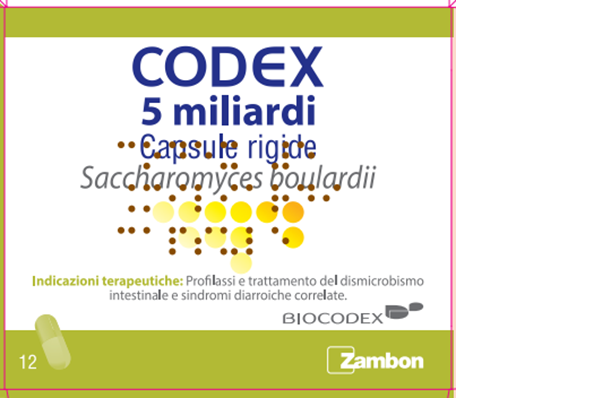 CODEX*12CPS 5MLD 250MG - Farmacianuova.eu