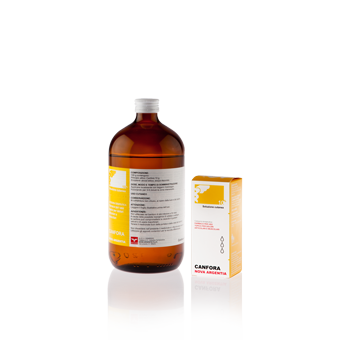 CANFORA*10% SOL IAL 100ML - Farmacianuova.eu