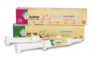 DUELMINT 40*VERDE SIR 15ML - Farmacianuova.eu