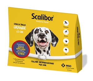 SCALIBOR PROTECTOR BAND*BI65CM - Farmacianuova.eu