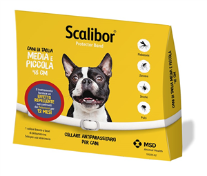 SCALIBOR PROTECTOR BAND*BI48CM - Farmacianuova.eu