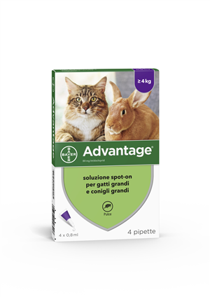 ADVANTAGE*4PIP 0,8ML SPOTON - Farmacianuova.eu