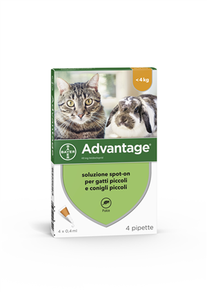 ADVANTAGE*4PIP 0,4ML SPOTON - Farmacianuova.eu