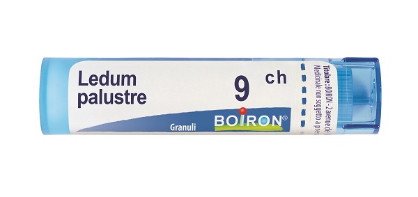 LEDUM PALUSTRE 9 CH GRANULI 4G - Farmacianuova.eu
