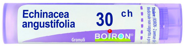 ECHINACEA ANGUSTIFOLIA 30 CH GRANULI - Farmacianuova.eu