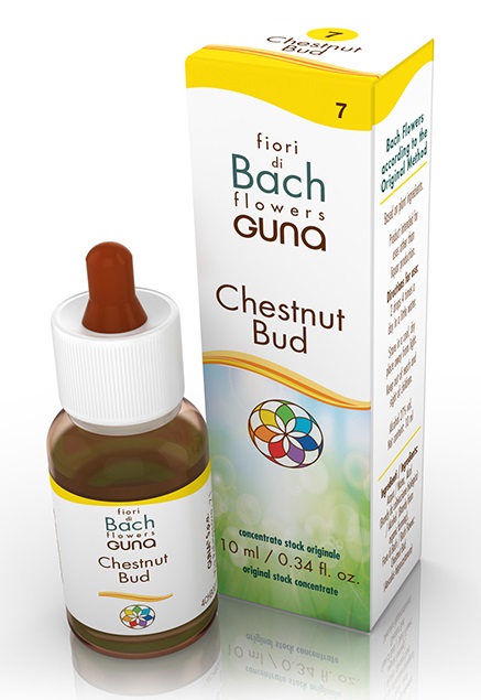 CHESTNUT BUD GOCCE 10 ML - Farmacianuova.eu