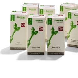 BETULLA VERRUCOSA GEMME50ML MG - Farmacianuova.eu