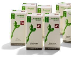 QUERCIA MACERATO GLICERICO 50 ML - Farmacianuova.eu