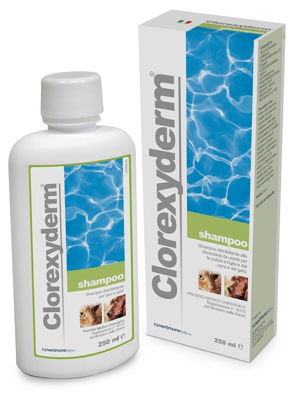 CLOREXYDERM SHAMPOO 250 ML - Farmacianuova.eu