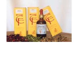 FICO GEMME MACERATO GLICERICO 100 ML - Farmacianuova.eu