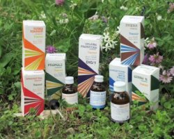 RAEMIL NASTIRZIO MACERATO IDROALCOLICO COMP 50M - Farmacianuova.eu