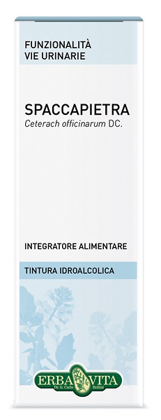 SPACCAPIETRA TINTURA IDROALCOLICA 50 ML EBV - Farmacianuova.eu