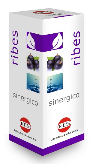 RIBES SINERGICO GOCCE 100 ML - Farmacianuova.eu