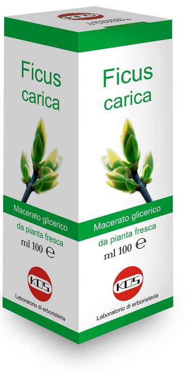 FICUS CARICA MG 100 ML GOCCE - Farmacianuova.eu