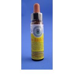 FIORI DI BACH CROMO BACH STRESS 10ML - Farmacianuova.eu