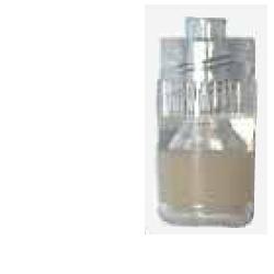 TAPPO STERILE PERFORATO LUER - Farmacianuova.eu
