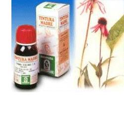 ECHINACEA 59 50ML TM - Farmacianuova.eu