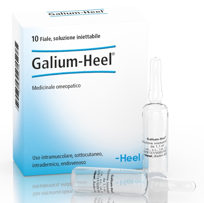 HEEL GALIUM 10 FIALE DA 1,1 ML L'UNA - Farmacianuova.eu