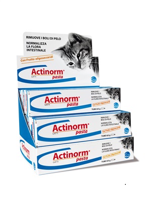 ACTINORM PASTA GATTI 65 G - Farmacianuova.eu