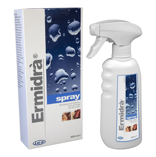ERMIDRA' SPRAY 300 ML - Farmacianuova.eu