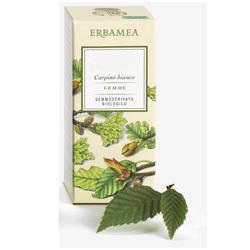 FICUS CARICA GEMME GEMMODERIVATO BIO 50 ML - Farmacianuova.eu