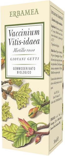 VACCINIUM VITIS IDAEA MIRTILLO ROSSO BIO 50 ML - Farmacianuova.eu