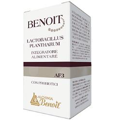 BENOIT LACTOBACILLUS PLANTHARUM 30 CAPSULE - Farmacianuova.eu