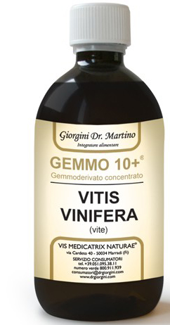 GEMMO 10+ VITE LIQUIDO ANALCOLICO 100 ML - Farmacianuova.eu
