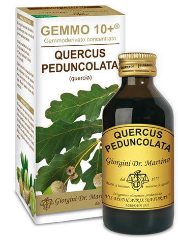 GEMMO 10+ QUERCIA 100 ML LIQUIDO ANALCOLICO - Farmacianuova.eu