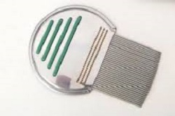 PETTINE ACCIAIO PER RIMOZIONE PIDOCCHI - Farmacianuova.eu