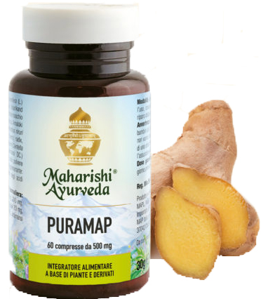 PURAMAP 60 COMPRESSE - Farmacianuova.eu
