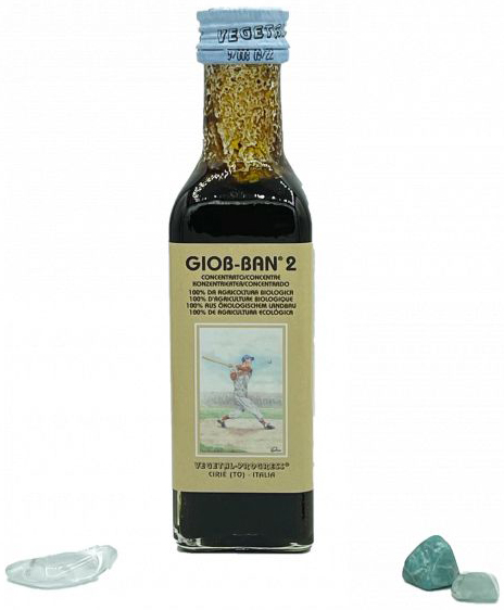 GIOB BAN 2 ART ESTRATTO CONCENTRATO BIOLOGICO 100 ML - Farmacianuova.eu