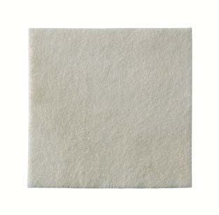 MEDICAZIONE BIATAIN ALGINATE AG ALGINATO CON ARGENTO 10X10CM 10 PEZZI - Farmacianuova.eu