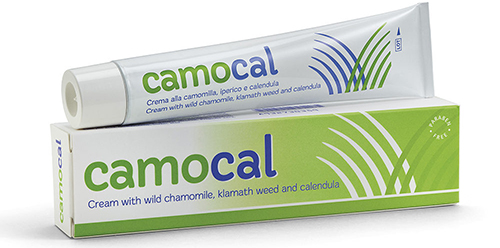 CREMA VEGETALE PER LE AFFEZIONI ANALI CAMOCAL 50 ML - Farmacianuova.eu