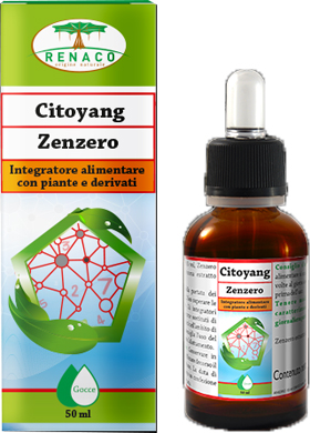CITOYANG ZENZERO GOCCE FLACONCINO 50 ML - Farmacianuova.eu