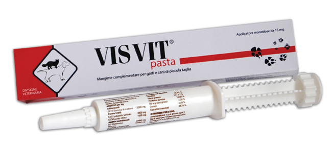 VISVIT PASTA OS SIRINGA 15 G - Farmacianuova.eu
