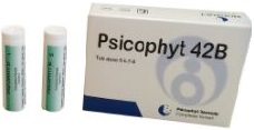 PSICOPHYT REMEDY 42B 4 TUBI 1,2G - Farmacianuova.eu