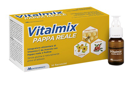 VITALMIX PAPPA REALE 10FLACONCINI X10 ML S/GL - Farmacianuova.eu