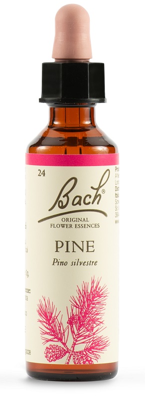 PINE BACH ORIG 20 ML - Farmacianuova.eu