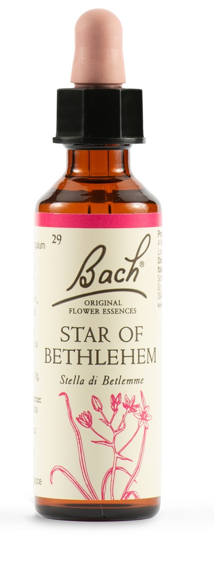 STAR OF BETHL ORIG 20 ML - Farmacianuova.eu