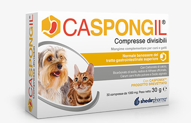 CASPONGIL 30 COMPRESSE DIVISIBILI - Farmacianuova.eu