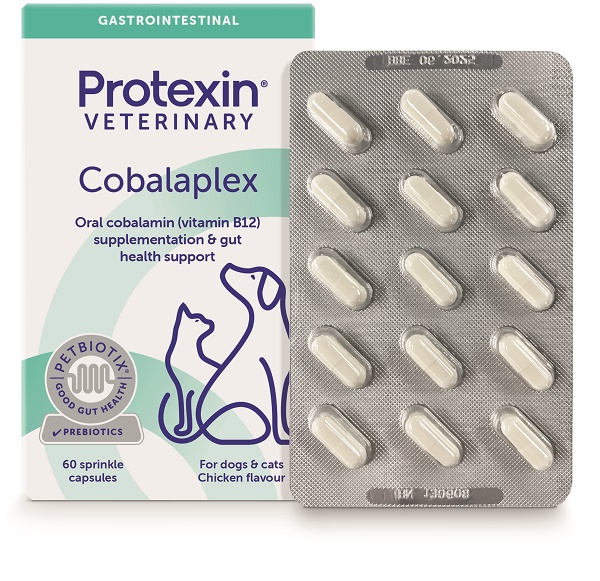 COBALAPLEX 60 CAPSULE - Farmacianuova.eu