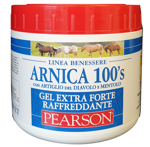 ARNICA 100'S EXTRA FORTE 500 ML - Farmacianuova.eu