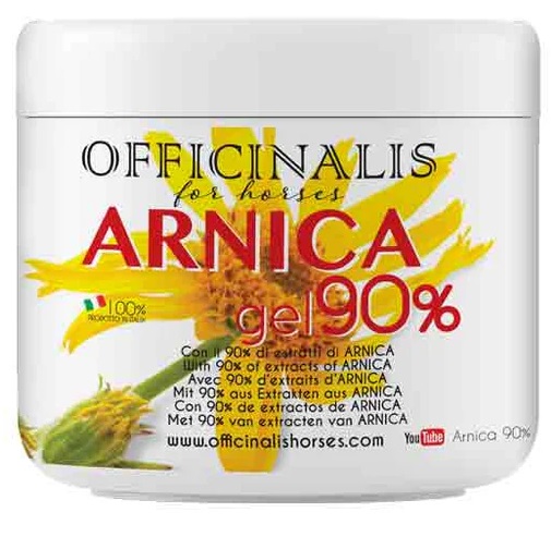 ARNICA GEL 90% 500 ML - Farmacianuova.eu
