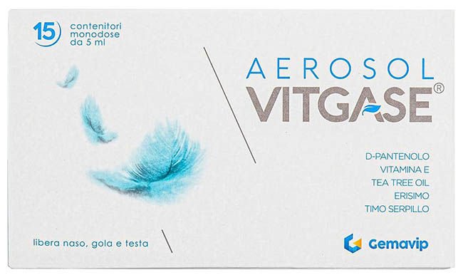 VITGASE AEROSOL 15 FLACONCINI 5 ML - Farmacianuova.eu