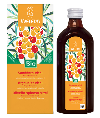 OLIVELLO SPINOSO VITAL SUCCO DI FRUTTA 250 ML - Farmacianuova.eu