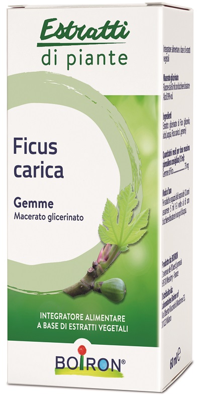 FICUS CARICA GEMME MACERATO GLICERINATO 60 ML INT - Farmacianuova.eu