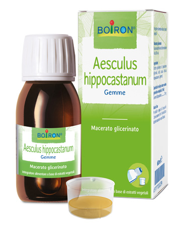 AESCULUS HIPPOCASTANUM MACERATO GLICERICO 60 ML INT - Farmacianuova.eu