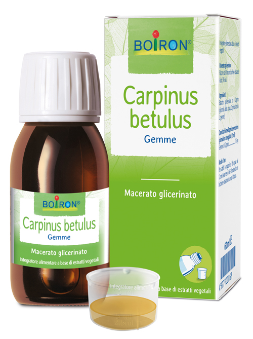 CARPINUS BETULUS MACERATO GLICERICO 60 ML INT - Farmacianuova.eu