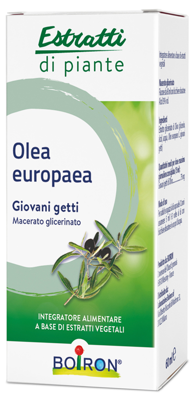 OLEA EUROPAEA MACERATO GLICERICO 60 ML INT - Farmacianuova.eu